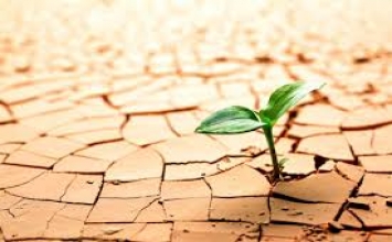 Khi cánh cửa hạnh phúc đóng lại ...